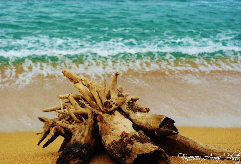 Residenze L Isola Surf House