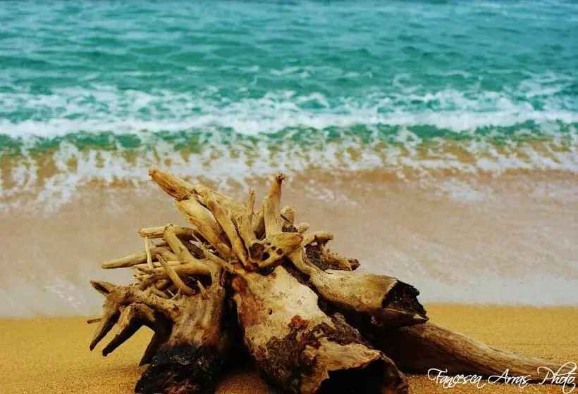 Residenze L Isola Surf House