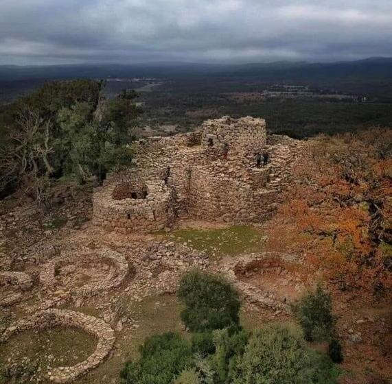 Residenze L Isola Surf House