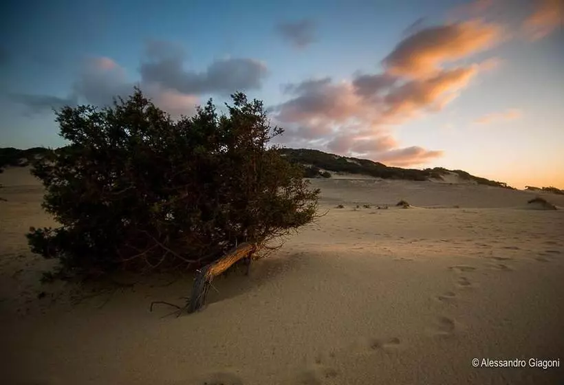 Residenze L Isola Surf House