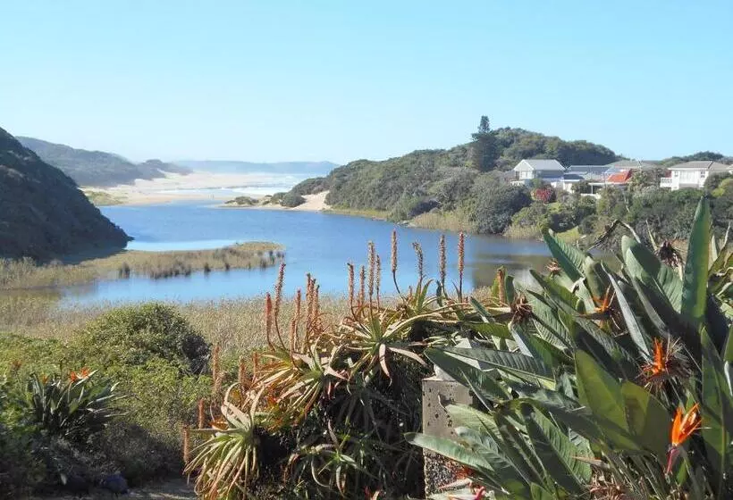ペンション The Coelacanth Guest House And Beach Thyme Self Catering