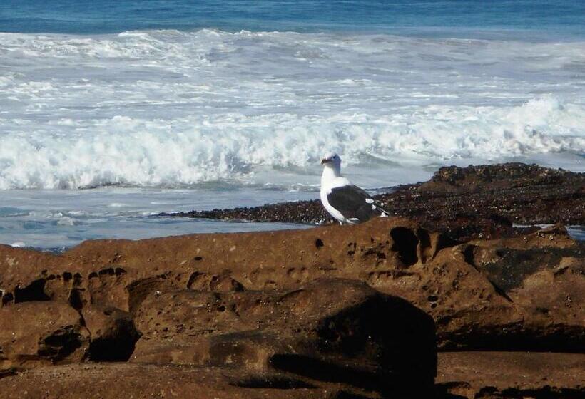 Пансион The Coelacanth Guest House And Beach Thyme Self Catering