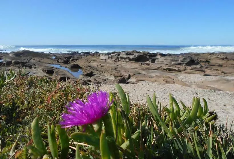 ペンション The Coelacanth Guest House And Beach Thyme Self Catering