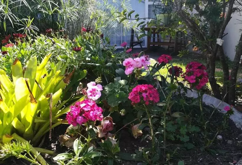 ペンション The Coelacanth Guest House And Beach Thyme Self Catering