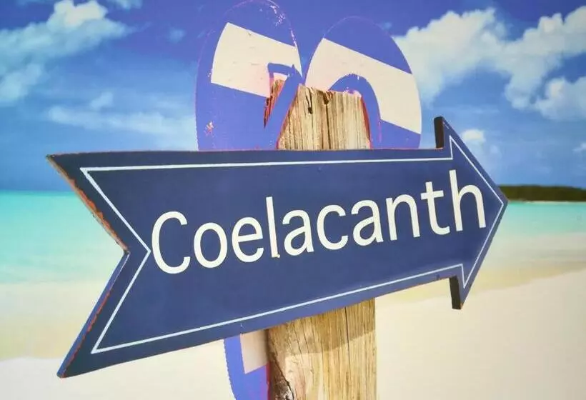 ペンション The Coelacanth Guest House And Beach Thyme Self Catering
