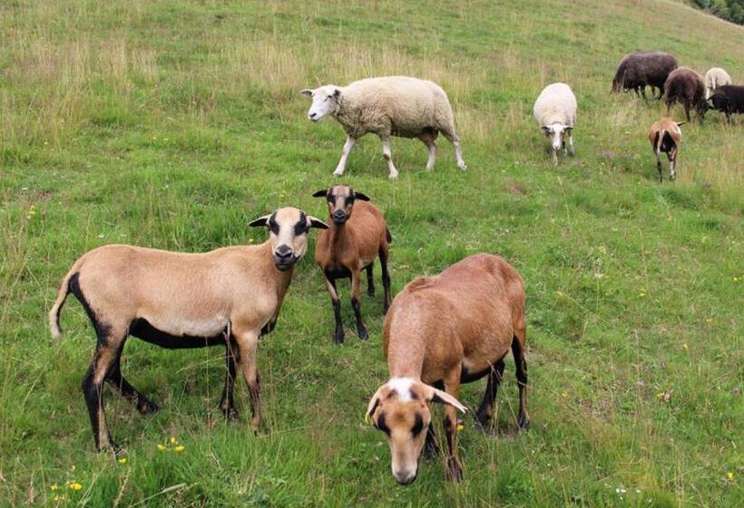 Пансион Gästehaus Hobelleitner