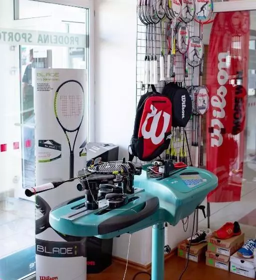 ペンション Penzion Na Kurtech