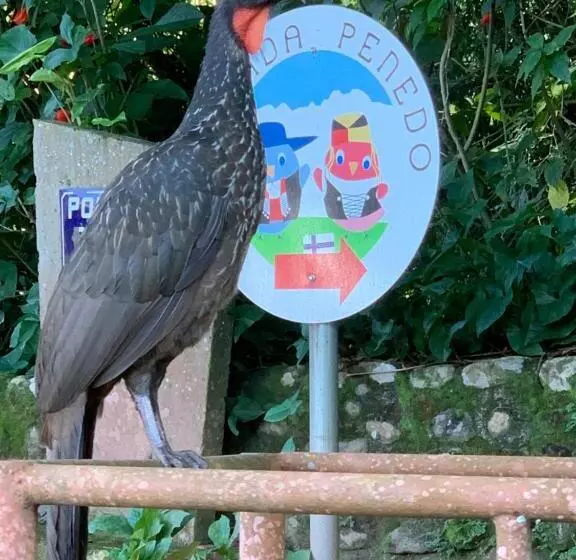 Majatalo Pousada Penedo