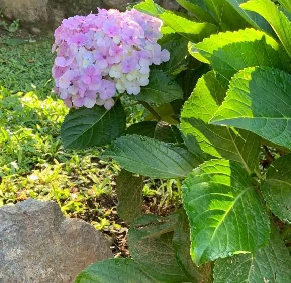 Majatalo Pousada Penedo