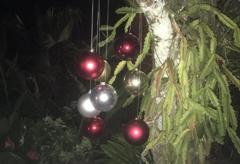 Пансион Pousada Penedo