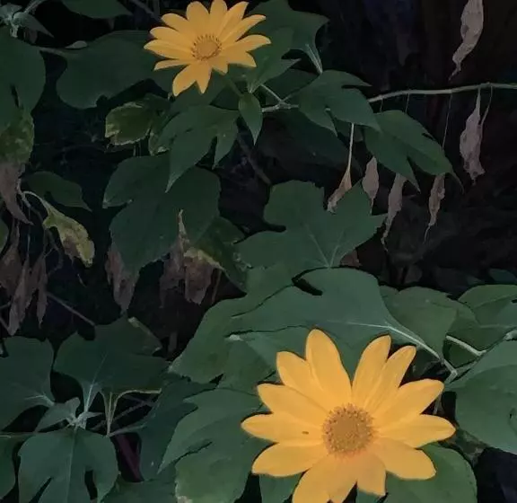 Majatalo Pousada Penedo