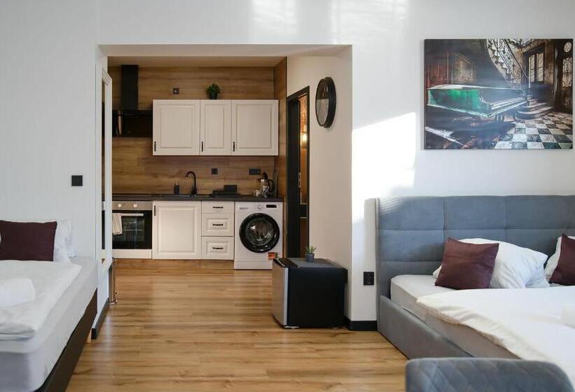 پانسیون U šípků