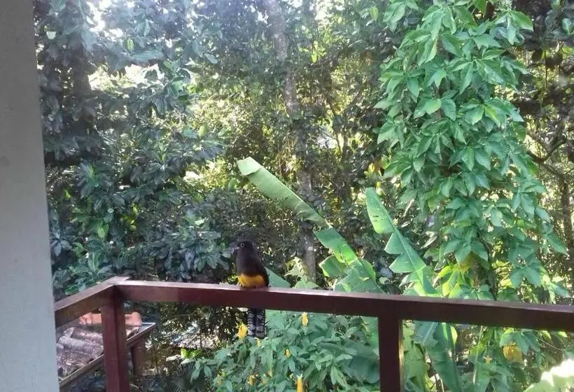 Aamiaismajoitus (B&B) Pitanga Ilha Grande