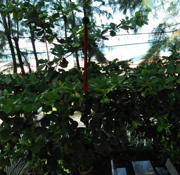 پانسیون Nguyet Anh Guesthouse