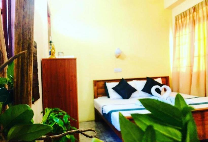 Pension (Hôtel basse catégorie) Randhi La Beach View Lounge