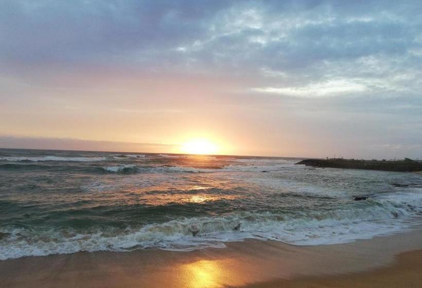 Pension (Hôtel basse catégorie) Randhi La Beach View Lounge