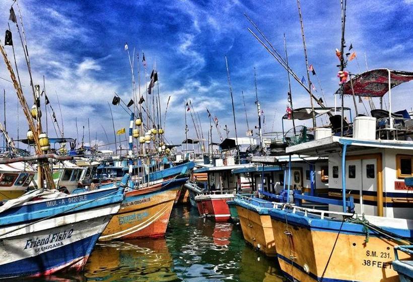 Pension (Hôtel basse catégorie) Randhi La Beach View Lounge