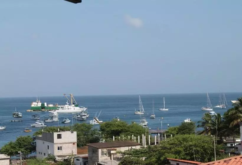 پانسیون Dolphin House