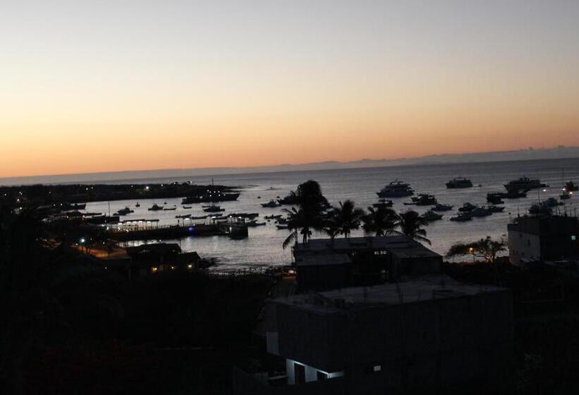 پانسیون Dolphin House