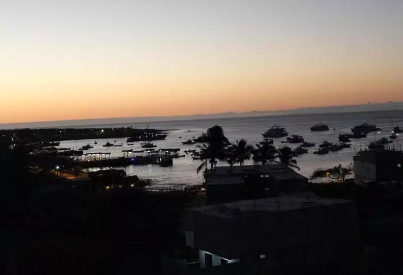 پانسیون Dolphin House