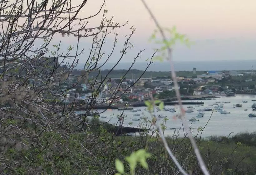 پانسیون Dolphin House