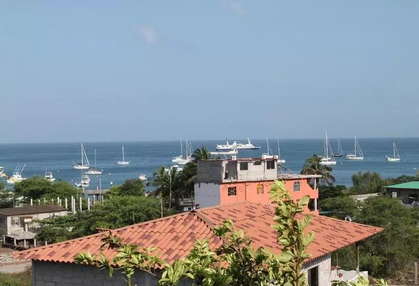 پانسیون Dolphin House