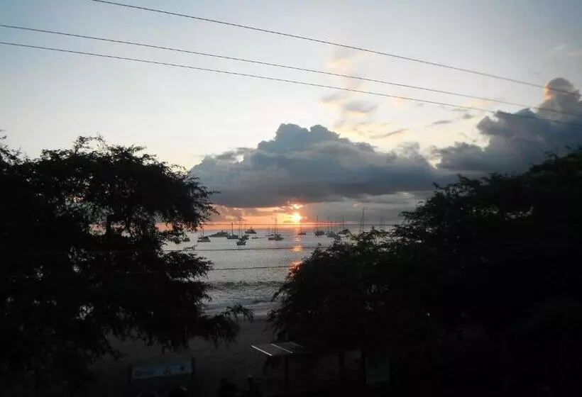 پانسیون Dolphin House