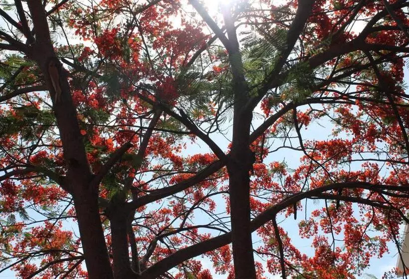 پانسیون Dolphin House