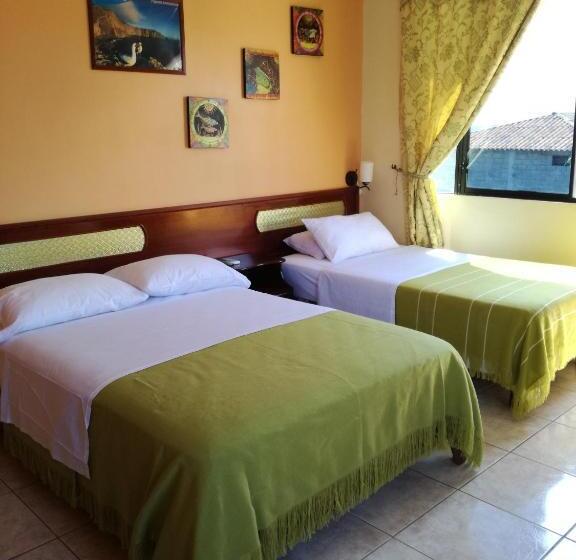 پانسیون Dolphin House