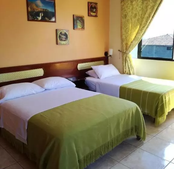 پانسیون Dolphin House