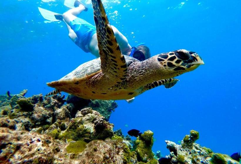 Pensión Wind Breeze Sunset View Inn