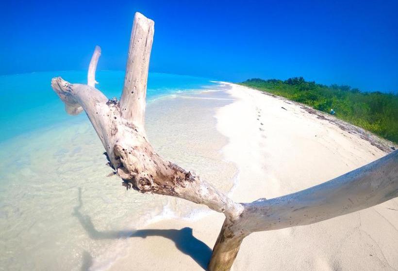 Pensión Wind Breeze Sunset View Inn