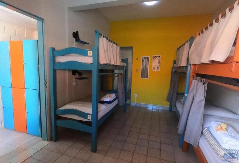 פנסיון Casa Swell Hostel
