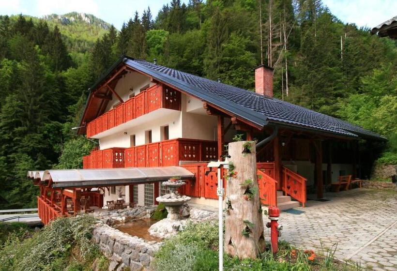 هاستل Guest House And Museum Firšt