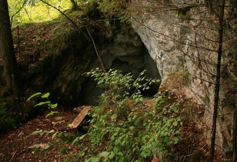 هاستل Guest House And Museum Firšt