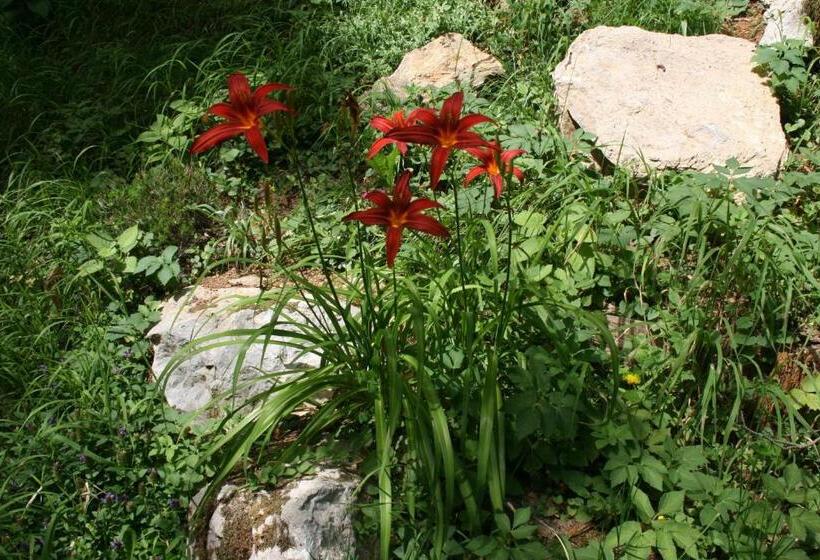 هاستل Guest House And Museum Firšt