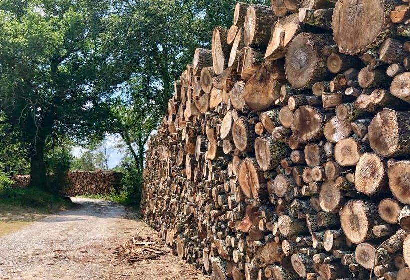 膳宿费 Casale Degli Ulivi