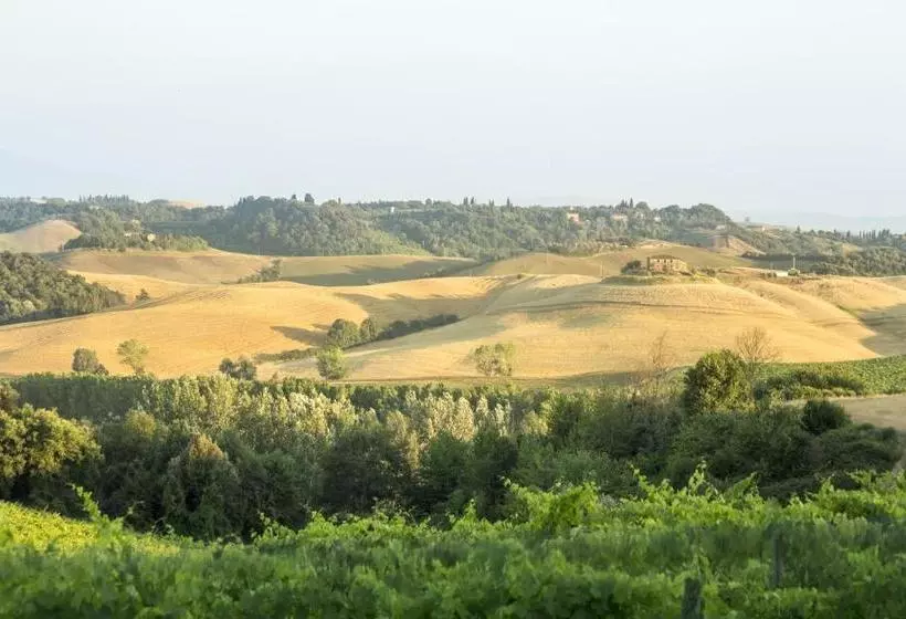 ペンション Casale Degli Ulivi
