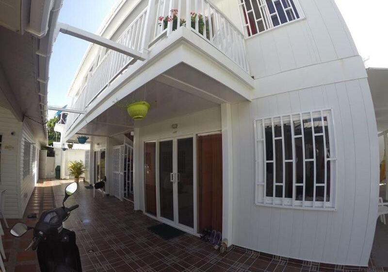 هاستل Tropical Coral