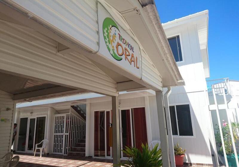 هاستل Tropical Coral