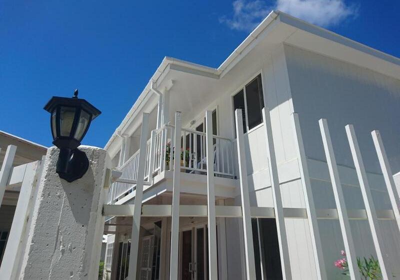 هاستل Tropical Coral