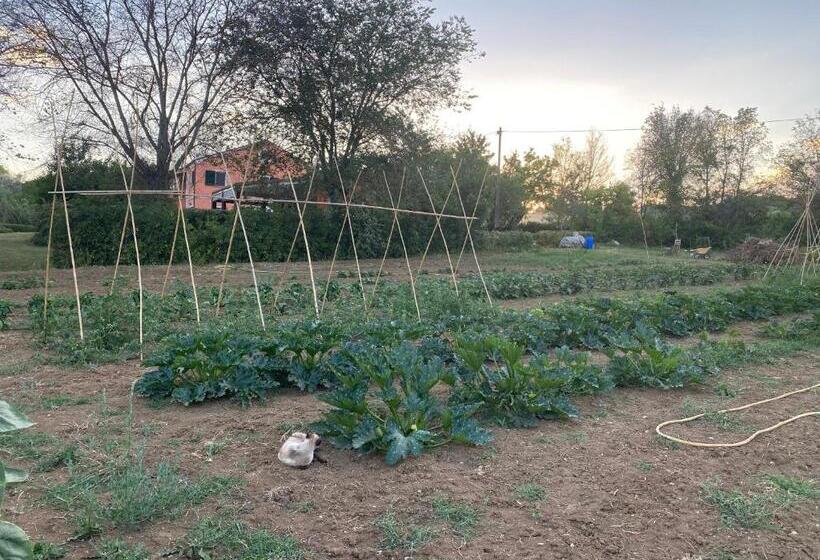 호텔 Agriturismo Rossococomero