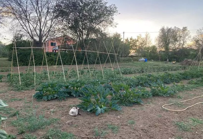 ホテル Agriturismo Rossococomero