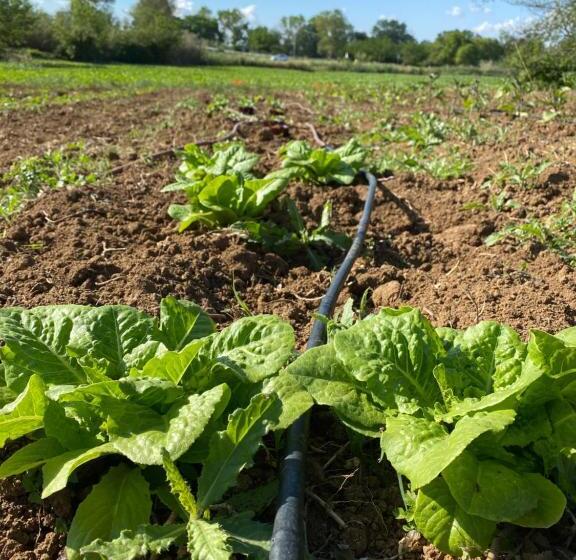 호텔 Agriturismo Rossococomero