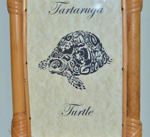 بنسيون Bjb Alojamentos