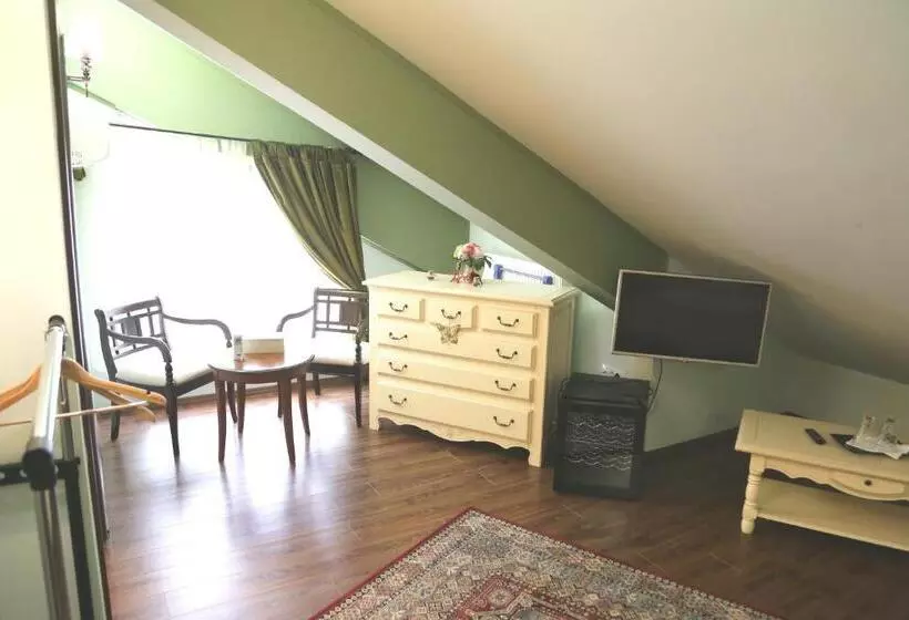 Pensiune Boutique Vila White Duchess