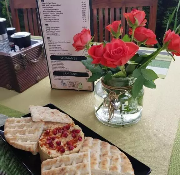 Pensiune Boutique Vila White Duchess