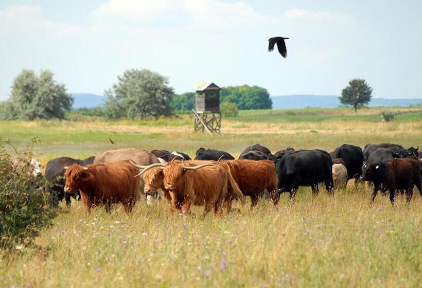 Pensionat Gästehaus Lackenblick