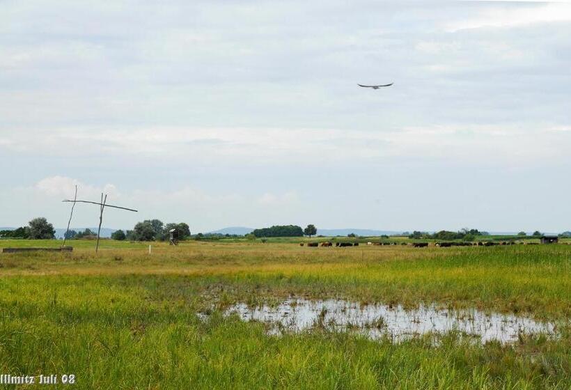 Pensionat Gästehaus Lackenblick