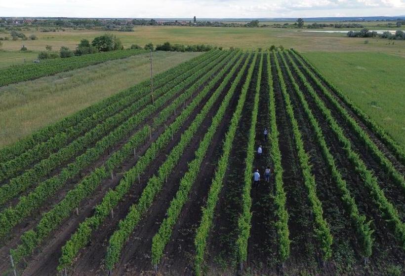 Pensionat Gästehaus Lackenblick